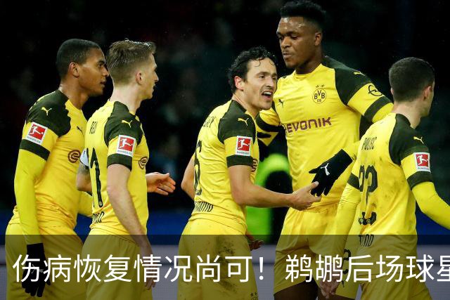 伤病恢复情况尚可！鹈鹕后场球星将会在揭幕战中完成出场？