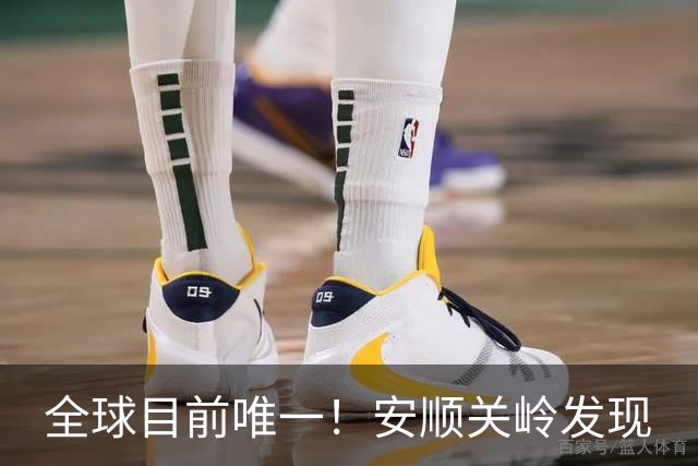 全球目前唯一！安顺关岭发现