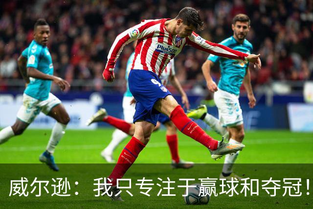 威尔逊：我只专注于赢球和夺冠！前世青赛冠军直言自己差点退役