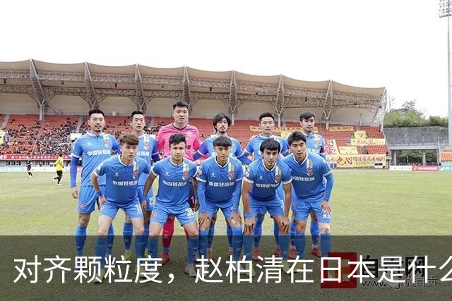 对齐颗粒度，赵柏清在日本是什么水平？