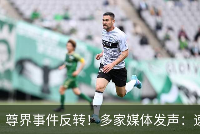尊界事件反转！多家媒体发声：速成车的帽子，中国车企不戴！
