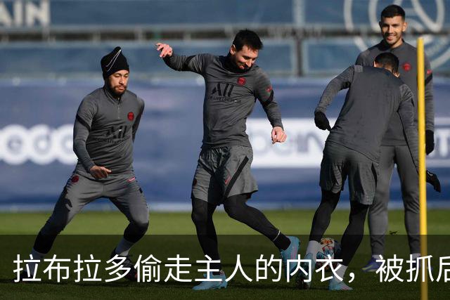 拉布拉多偷走主人的内衣，被抓后还死咬着不肯还，最后直接穿上赃物罚站……不过它好像还蛮得意？