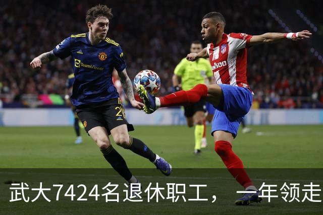 武大7424名退休职工， 一年领走9个亿？