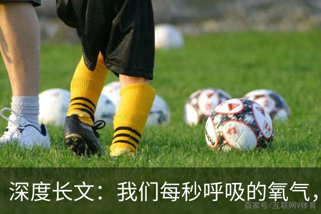 深度长文：我们每秒呼吸的氧气，竟是 24 亿年前的一场灾难！
