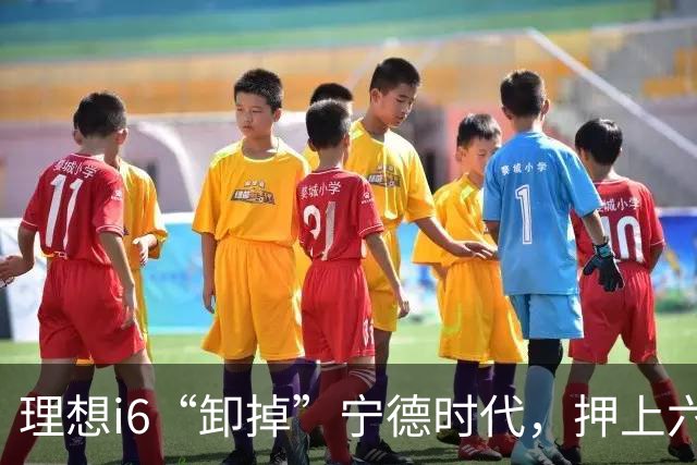 理想i6“卸掉”宁德时代，押上六成销量