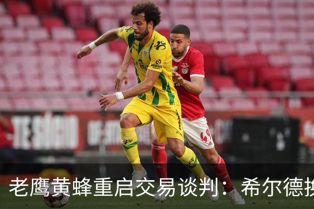 老鹰黄蜂重启交易谈判：希尔德换芬尼-史密斯，只差选秀权？