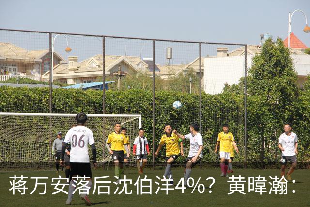蒋万安落后沈伯洋4%？黄暐瀚：联合报民调挑动蓝营选民敏感神经